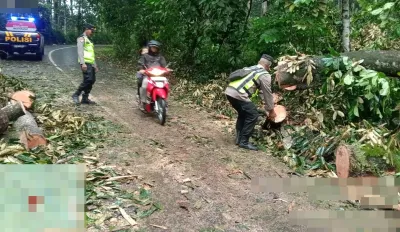 Pohon Durian Tumbang Tutup Jalur Karanganyar–Lebakbarang, Lalu Lintas Sempat Tersendat