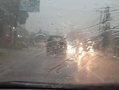 Waspada Pemudik, Jalur Pemalang-Purbalingga Rawan Banjir, Pohon Tumbang dan Longsor