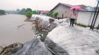 Tanggul Kali Ketiwon Tegal Kembali Diterjang Arus Deras, Material Penanganan Darurat Rusak