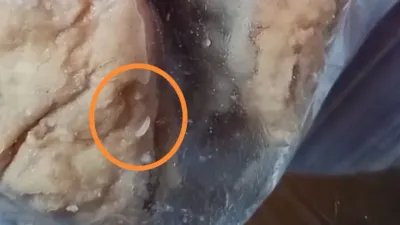 Dikeluhkan, Menu MBG di Banjarharjo Brebes Ditemukan Berbelatung