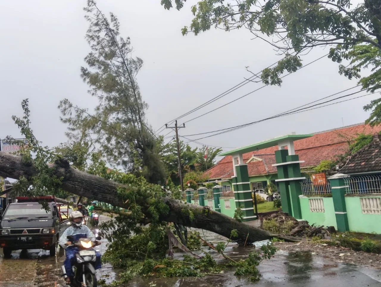 Hujan Deras Disertai Angin Kencang di Kendal, Pohon Tumbang Tutup Akses Jalan, Sejumlah Rumah Rusak