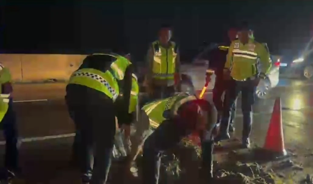 Bus Sinar Jaya Terperosok di KM 287 Tol Pejagan - Pemalang, Kapolres Tegal Turun Langsung Evakuasi di Lokasi