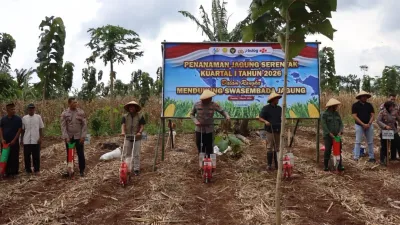 Dukung Program Ketahanan Pangan, Polres Kendal Tanam Jagung Serentak di Kedungsuren