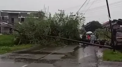 Hujan dan Angin Kencang Ngamuk di Brebes Selatan, Kanopi Balai Desa hingga Tiang Listrik Tumbang