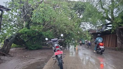 Tangani Pohon Tumbang Akibat Angin Kencang di Kendal Hingga Jelang Subuh