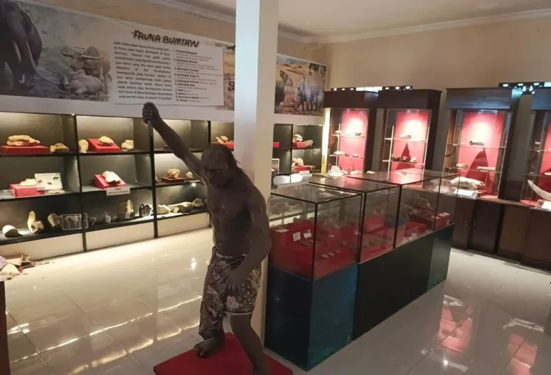 Di Tengah Kota Bumiayu, Tersimpan Jejak Kehidupan Purba 1,8 Juta Tahun Lalu