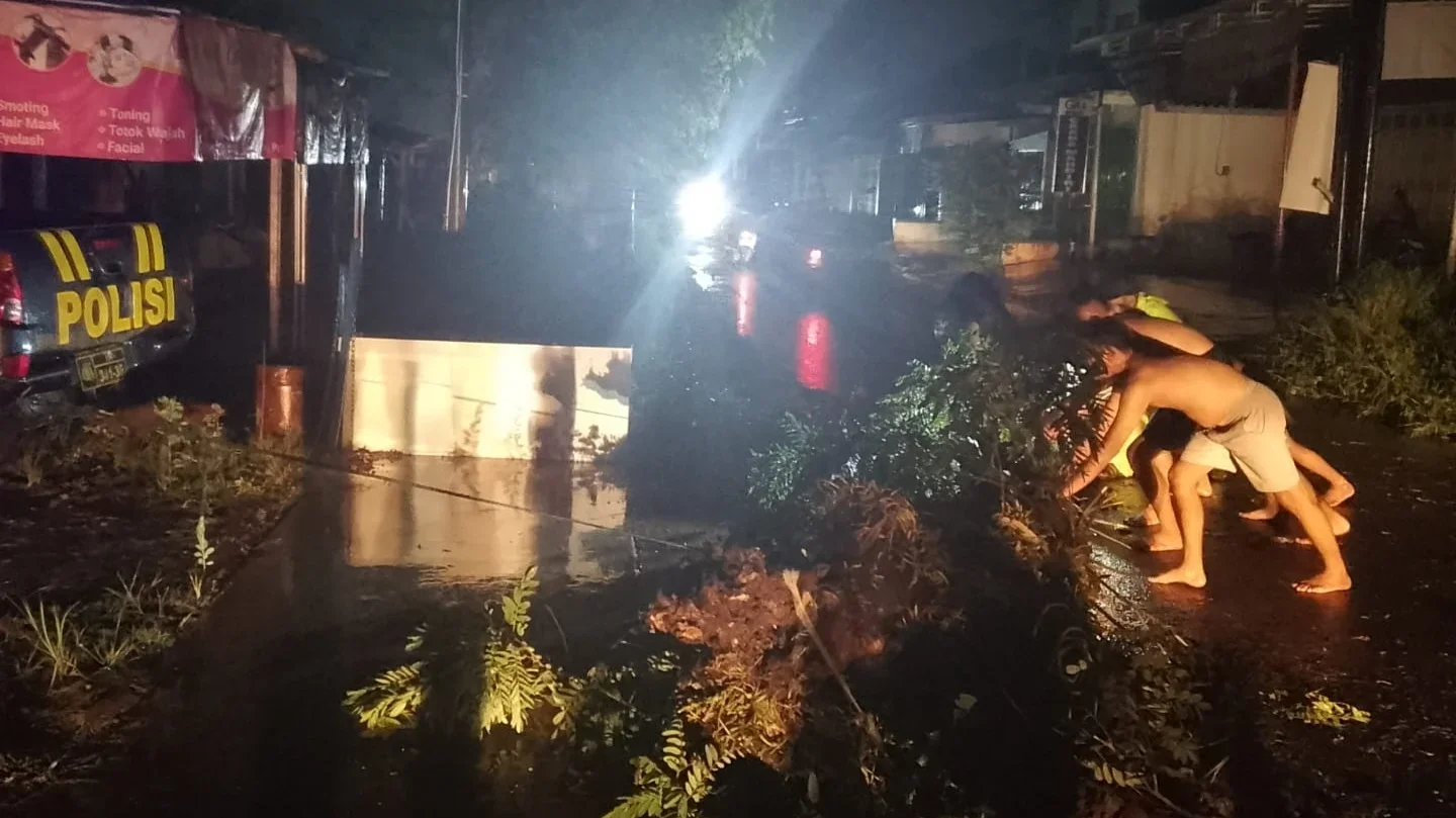 Pohon Tumbang di Karangdadap Pekalongan, Polisi Bergerak Cepat Amankan Akses Jalan