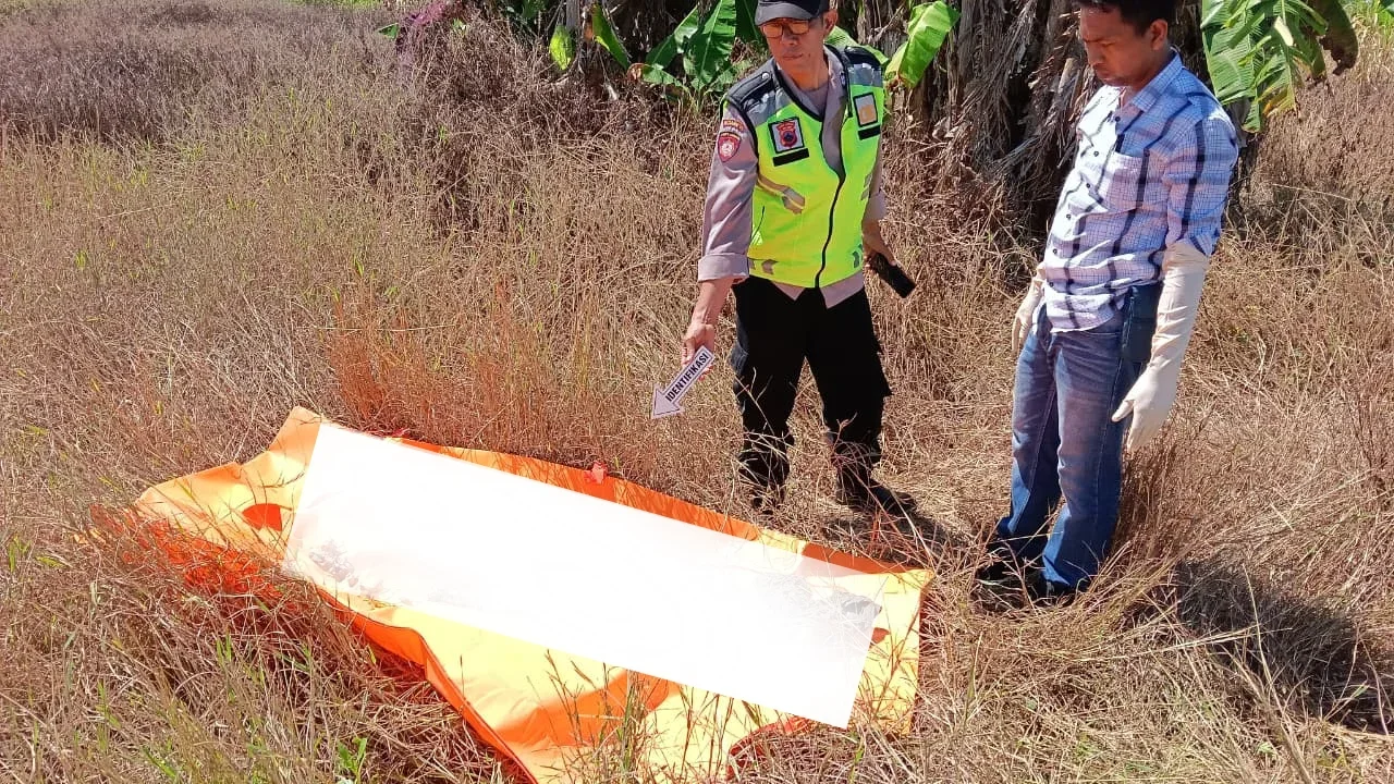 Polisi memeriksa kerangka manusia yang ditemukan di sebuah ladang di patebon kendal. (edhot)