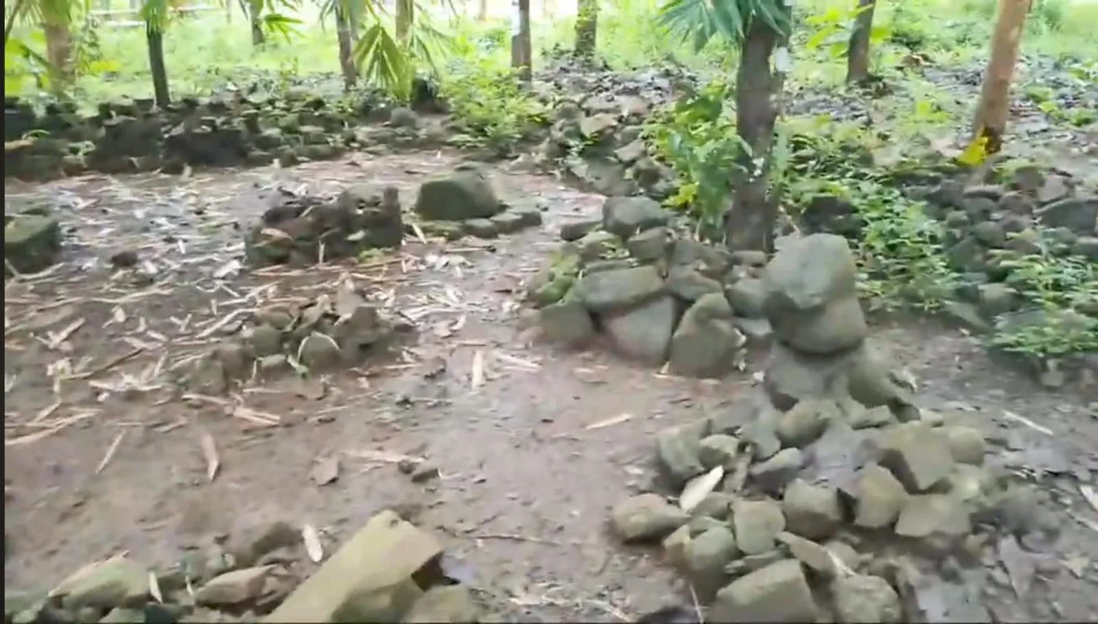 Kondisi Candi Gagang Golok di Desa Galuh Timur, Kecamatan Tonjong, Brebes yang butuh setuhan dan pelestaruan.