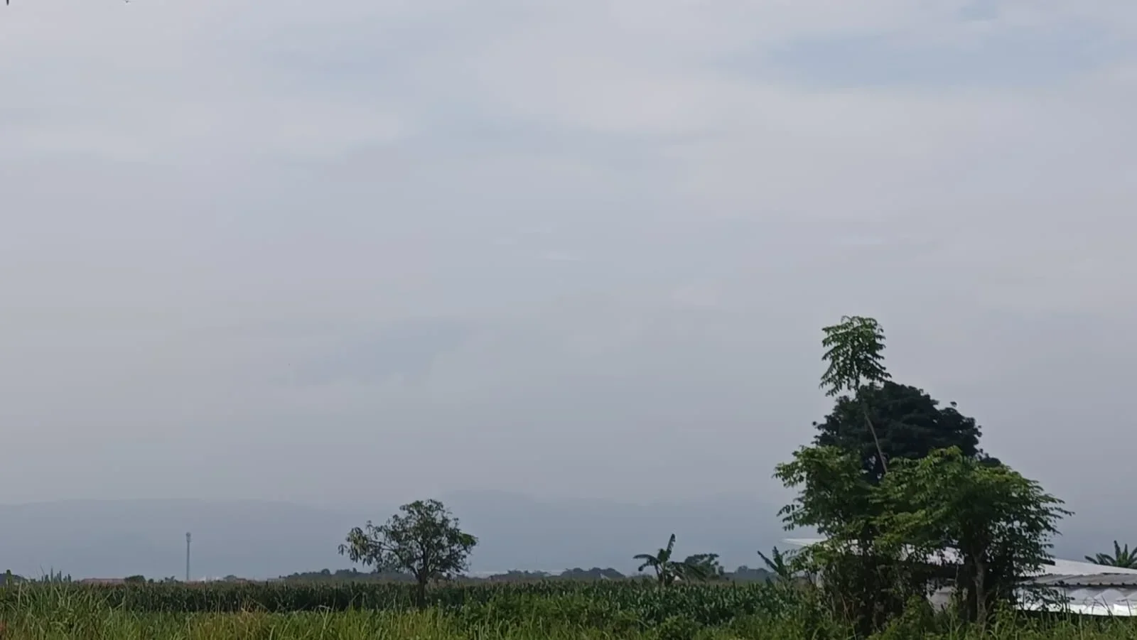 Update Gunung Slamet Terkini, Pagi Ini Tertutup Kabut Tebal