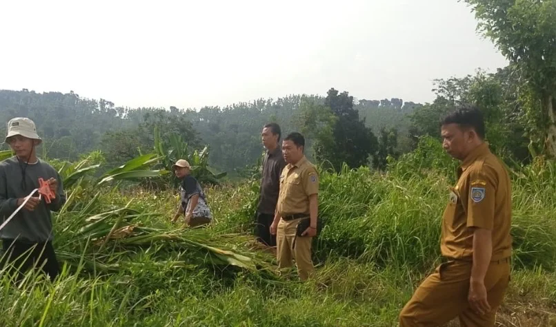 SDN Padasari 01 dan 02 Jatinegara Kabupaten Tegal Bakal Diregrouping
