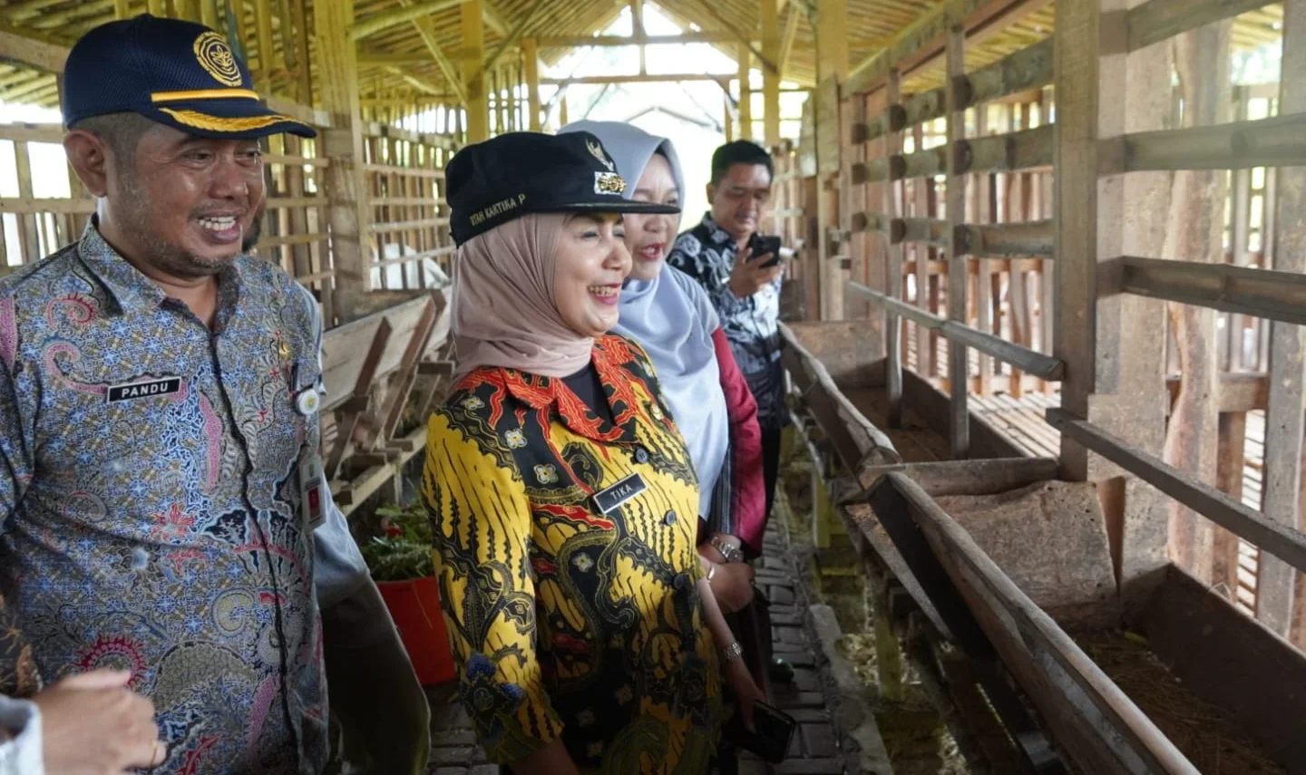 Bupati Kendal Sidak Kandang Ternak Kambing, Cek Kesehatan Hewan Kurban