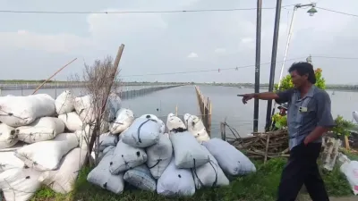 Budidaya Rumput Laut Dorong Produktivitas Tambak dan Ekonomi Pesisir di Kabupaten Kendal