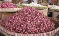 Harga Bawang Merah di Tingkat Konsumen Brebes Stabil Sepanjang 2025 hingga Awal 2026