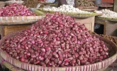 Harga Bawang Merah di Tingkat Konsumen Brebes Stabil Sepanjang 2025 hingga Awal 2026