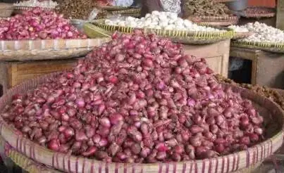 Harga Bawang Merah di Tingkat Konsumen Brebes Stabil Sepanjang 2025 hingga Awal 2026