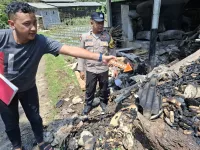 Gudang Penyetiman Jamur di Sukorejo Kendal Terbakar, Kerugian Capai Rp30 Juta