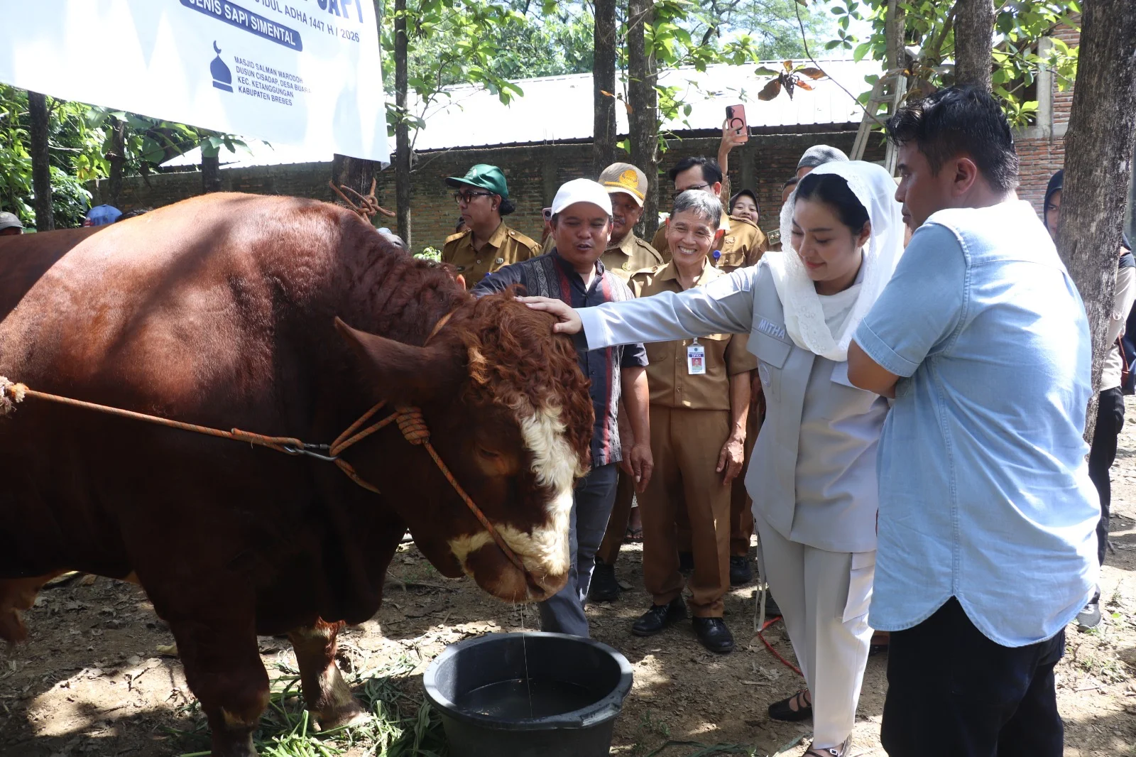 Presiden Bantu Sapi Kurban Bagi Warga Terdampak Banjir di Cisadap Ketanggungan Brebes