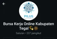 Info Loker Tegal di Aplikasi PILUS, 2 Perusahaan Buka Rekrutmen Accounting
