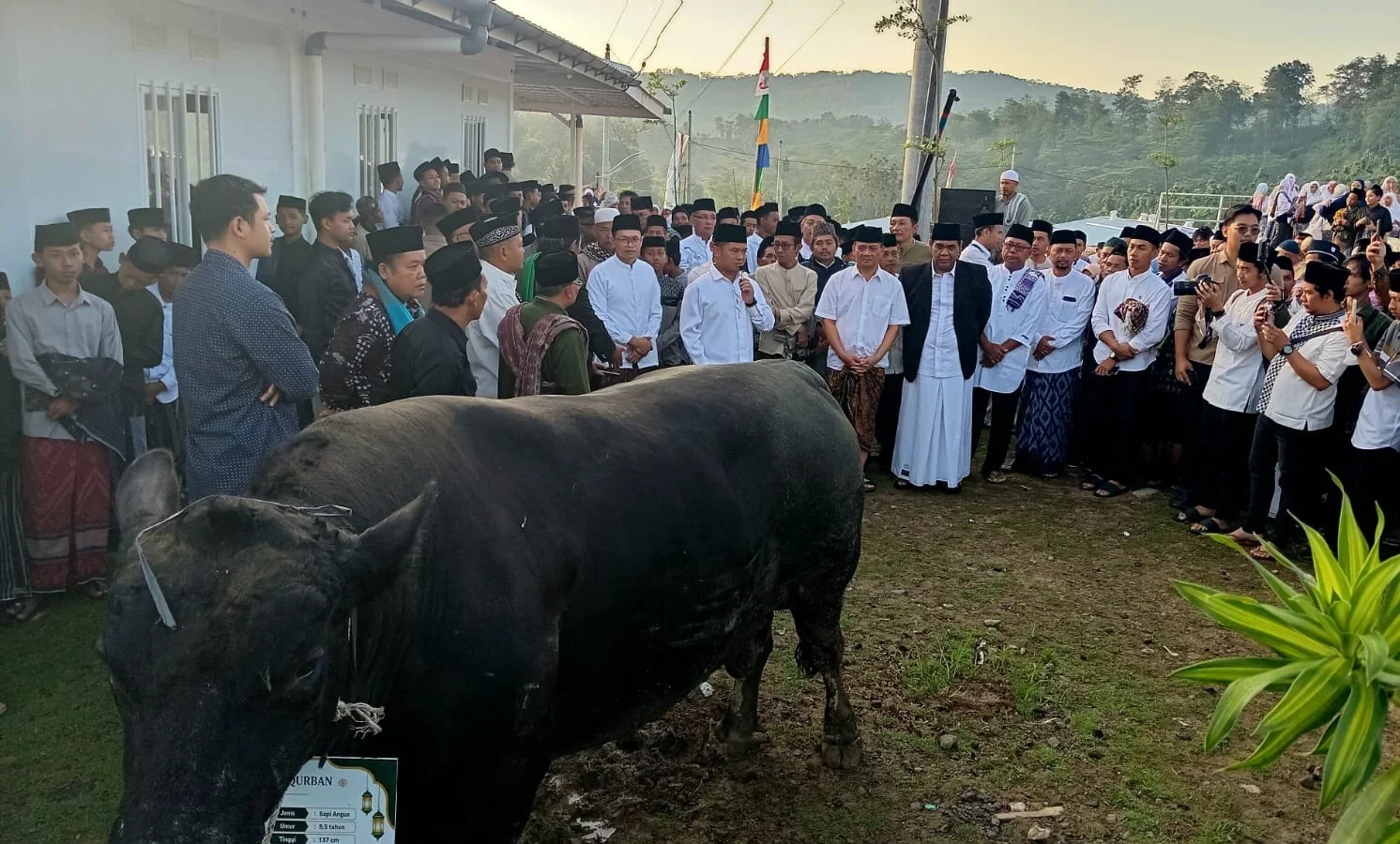 Ada "Mick Jager" dan "Angus" di Momen Hari Raya Idul Adha Warga Huntara Tegal
