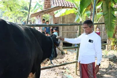 Sekda Jateng Salurkan Hewan Kurban 1,1 Ton untuk Korban Banjir Grobogan