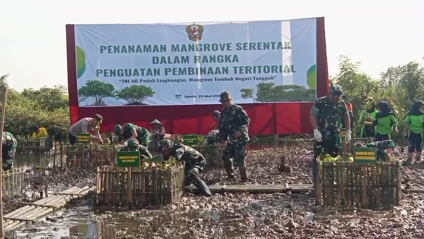 1.500 Mangrove Ditanam di Pesisir Kendal, Jadi Benteng Alami Lawan Abrasi
