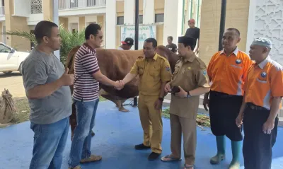 Sapi Kurban Banmas Presiden Prabowo 1,1 Ton Tiba di Tegal