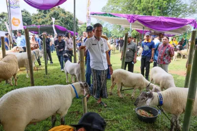 Jambore Inseminator dan Kontes Ternak 2026 Meriah, Optimisme Peternakan Wujudkan Ketahanan Pangan