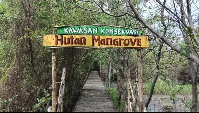 Berawal dari Ancaman Rob, Ekowisata Mangrove Mulyosari Pekalongan Raih Nominasi Kalpataru