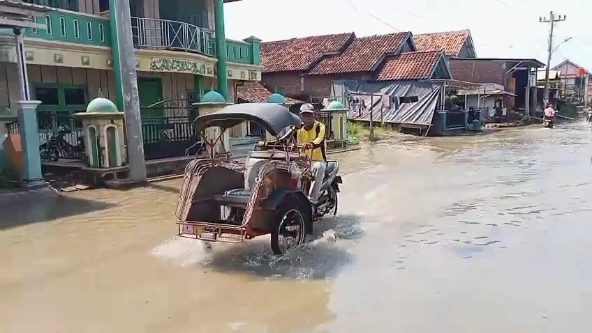 Air Pasang Tak Pernah Absen, Permukiman Kendal Terendam Setiap Hari
