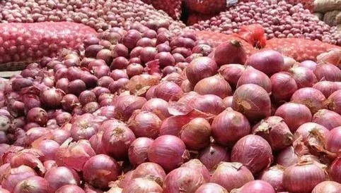 Produk bawang merah. (foto : dok)