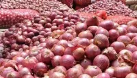 Pemkab Brebes Terbitkan SE Larangan Peredaran Bawang Bombai Mini