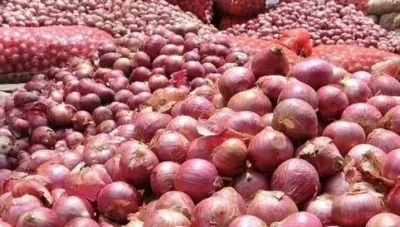 Pemkab Brebes Terbitkan SE Larangan Peredaran Bawang Bombai Mini