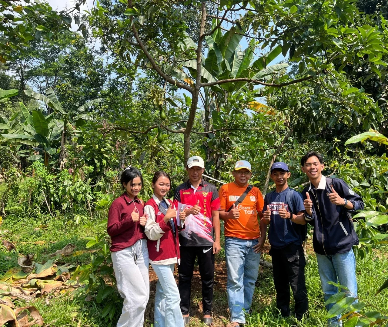 Budidaya apel organik