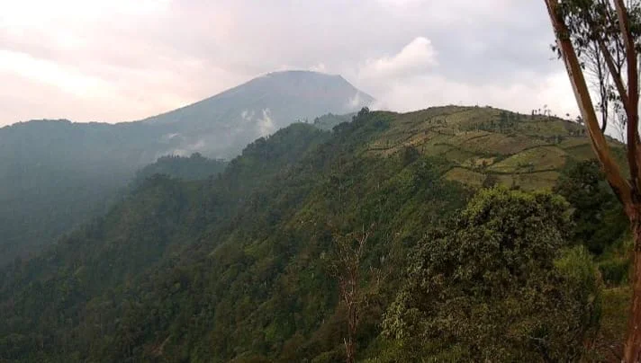 Gunung Slamet terlihat cerah dari Pos Pengamatan Gunung Slamet di Desa Gambuan, Kecamatan Pulosari, Kabupaten Pemalang pada Jumat 8 Mei 2026. (Dok. MAGMA Indonesia) 