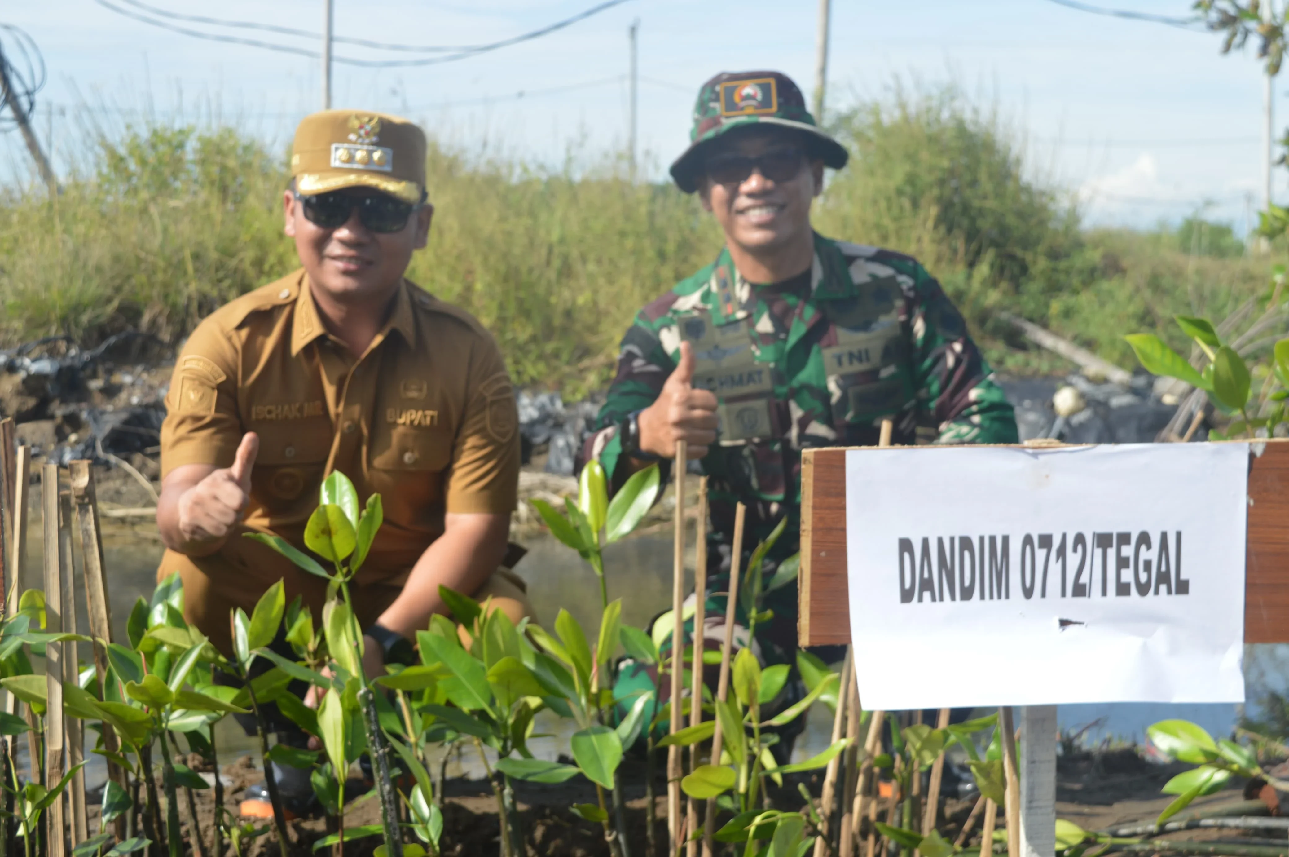 Cegah Abrasi, Kodim 0712/Tegal Tanam 500 Mangrove di Pantai Kedungkelor