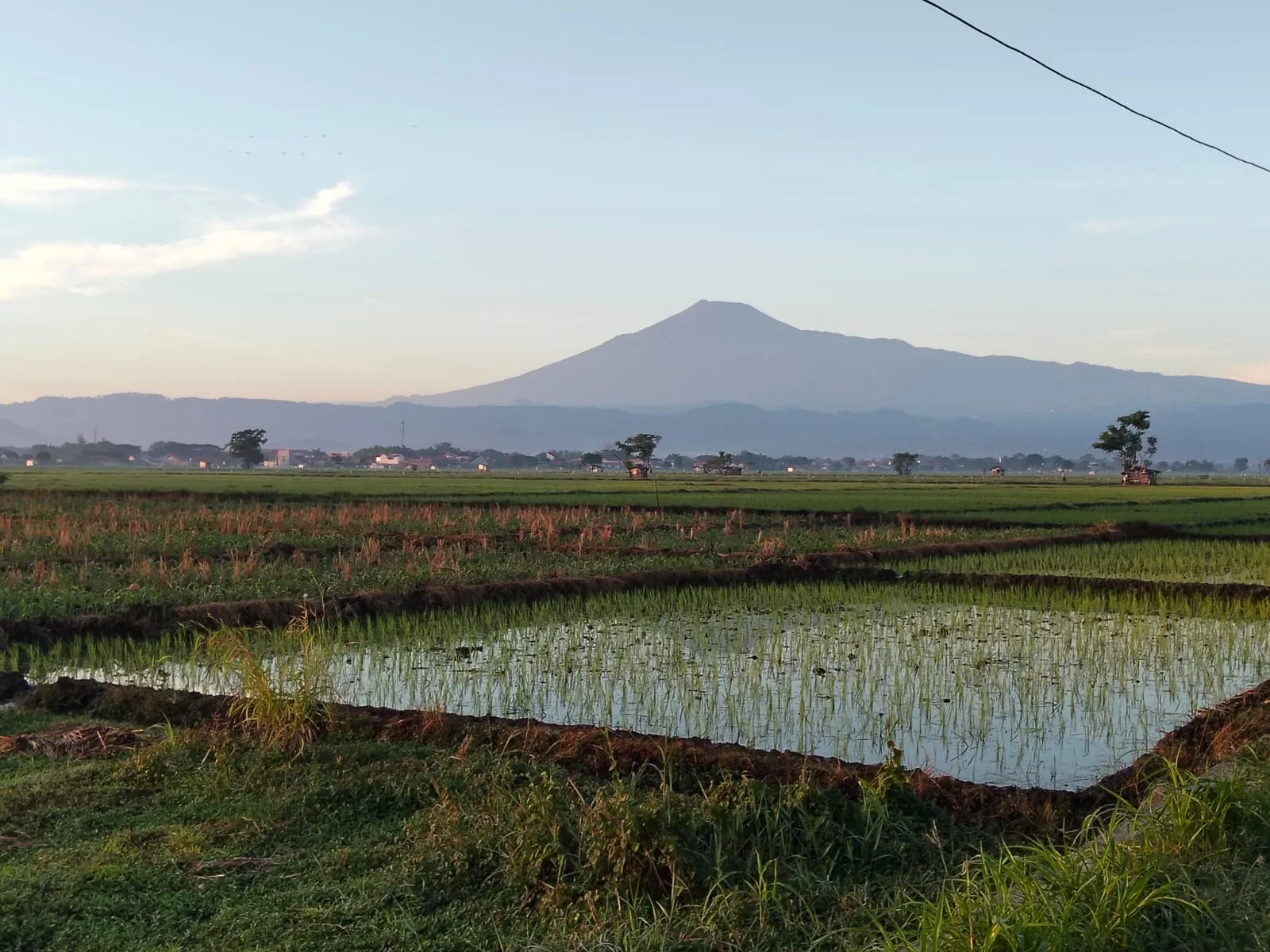 Aktivitas Gunung Slamet Mulai Turun, Sempat Suhu Kawah Gunung Slamet Tembus 478,7 Derajat Celcius