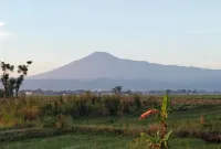 Dalam Dua Hari, Gunung Slamet Terjadi 45 Gempa Low Frequency
