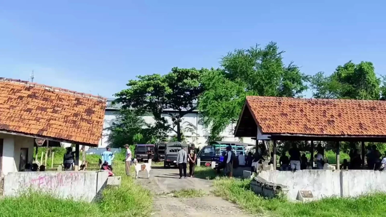 Pasar hewan Gondang yang tidak terawat. (edhot)