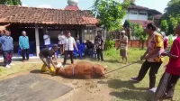 Jelang Idul Adha, Kendal Siapkan Juru Sembelih Kurban Bersertifikat Halal dan Higienis