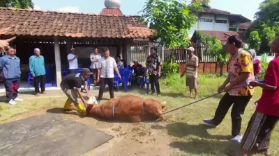 Jelang Idul Adha, Kendal Siapkan Juru Sembelih Kurban Bersertifikat Halal dan Higienis