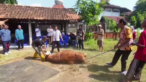Jelang Idul Adha, Kendal Siapkan Juru Sembelih Kurban Bersertifikat Halal dan Higienis