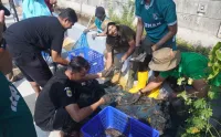Dislutkan Batang Bersihkan Ikan Sapu-Sapu di Sungai Kauman, Cegah Kerusakan Ekosistem