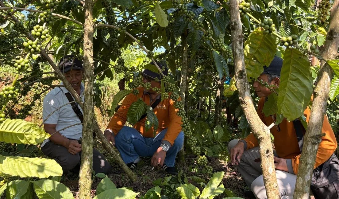 Petani kopi kendal