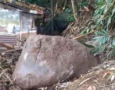 Batu Raksasa Longsor Lagi di Watukumpul Pemalang, Kali Ini Terjang Kandang Ternak