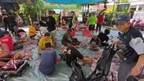 Keren, Masjid At Taqwa Rowosari Kendal Sembelih 22 Sapi dan 15 Kambing