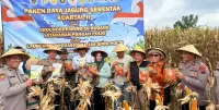 Polres Batang Panen Raya Jagung untuk Dukung Swasembada Pangan Nasional