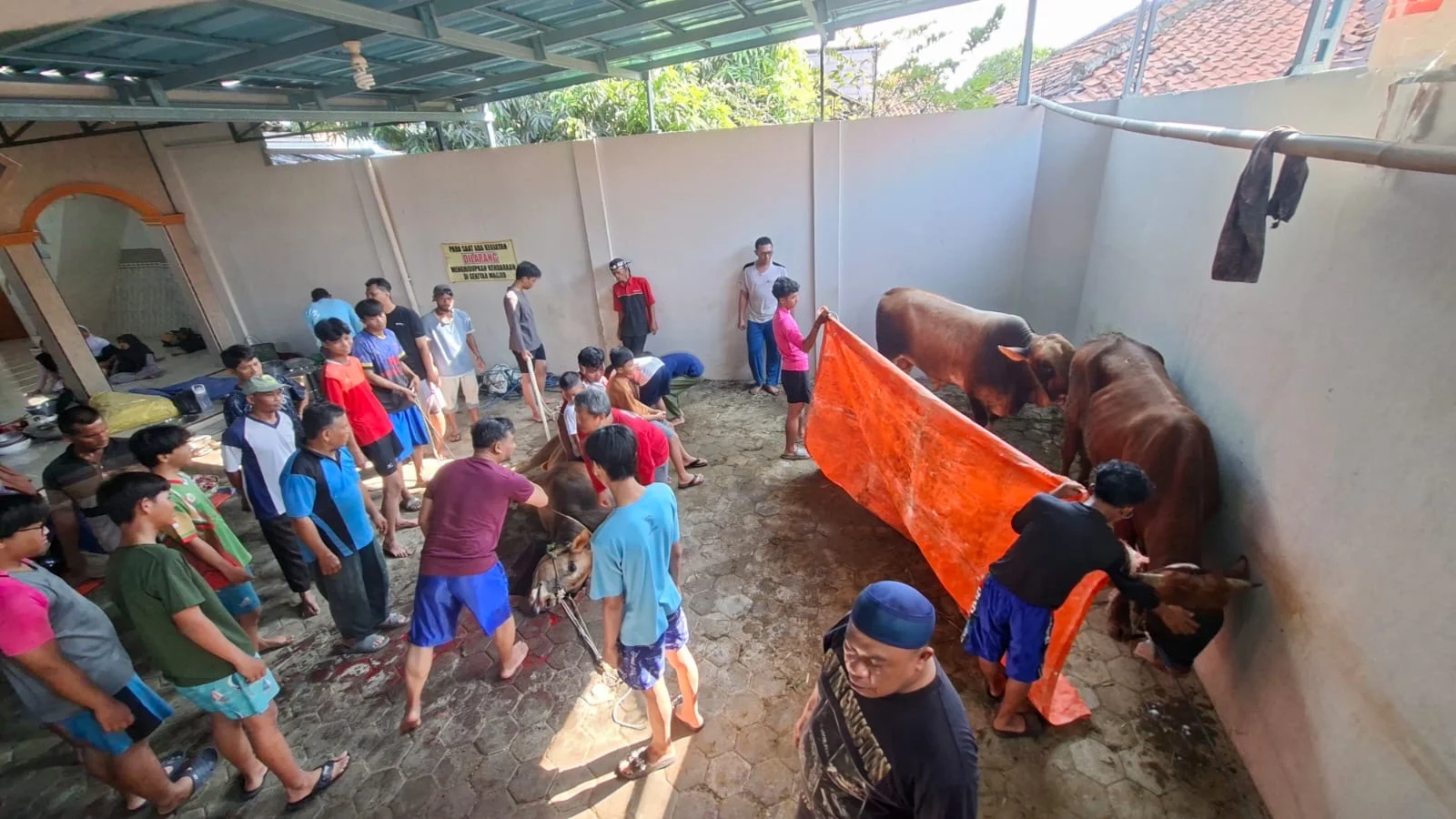 Warga LDII Pemalang Potong 127 Sapi dan 84 Kambing