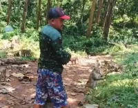 Tak Tega Lihat Kera Keleleran, Ini Kisah Pemberi Makan Monyet di Cagar Alam Kecubung Batang