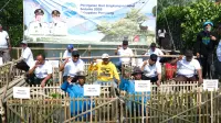 Jaga Pesisir Pemalang, Pemerintah Tanam Ribuan Mangrove